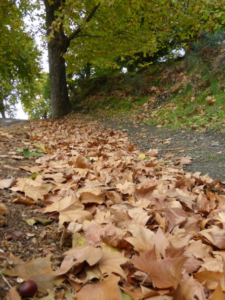 Foto tomada por Inmaculada Asensio, en Mecina Bombarón.
