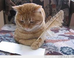 gato-escribiendo