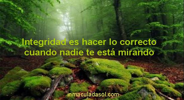 integridad