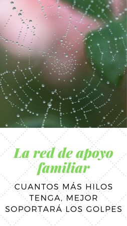 La red de apoyo familiar